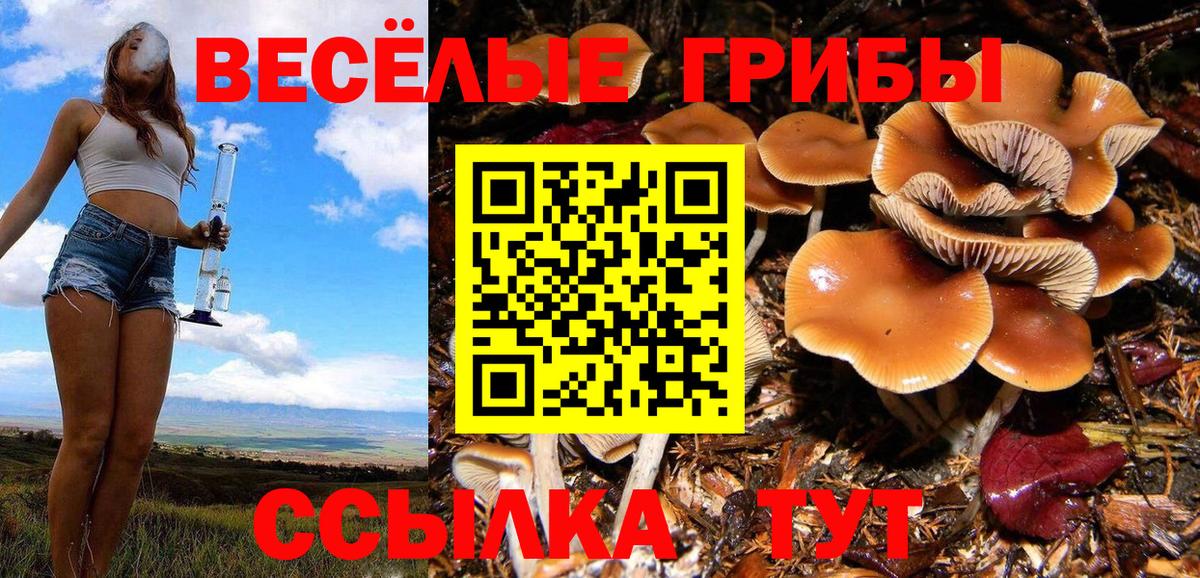 Нурлат  Псилоцибиновые грибы мицелий  Вход с VPN  Галлюциногенные грибы ЛСД 